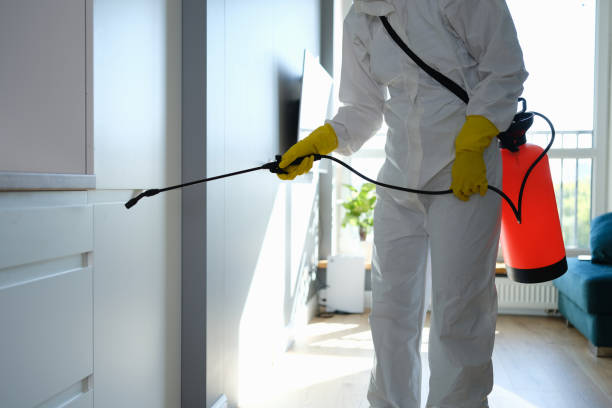 Best HVAC Mold Remediation in Hlcrest, IL