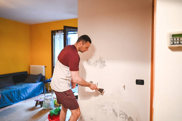 Best Mold Remediation for Schools in Hlcrest, IL